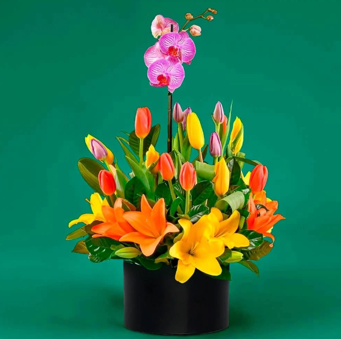 Tulipanes y orquídeas